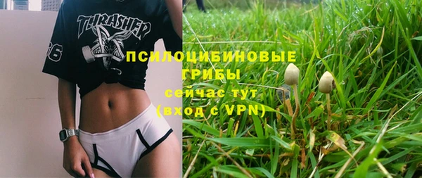 a pvp Няндома