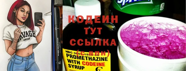 сатива Нягань
