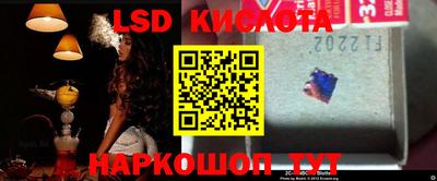 прущие грибы Комсомольск-на-Амуре