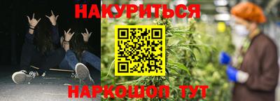 прущие грибы Комсомольск-на-Амуре