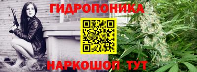 прущие грибы Комсомольск-на-Амуре