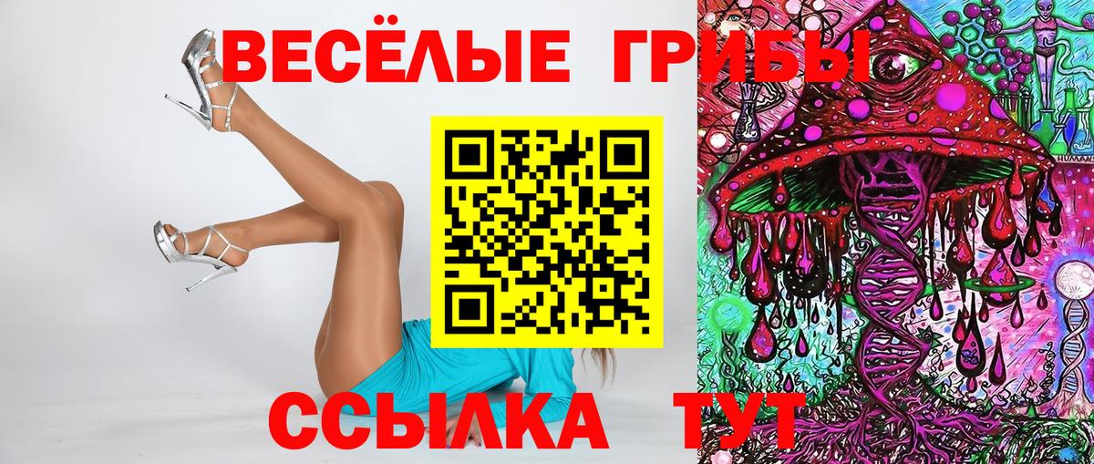 Галлюциногенные грибы прущие грибы  Тара 