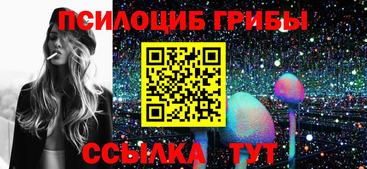 Псилоцибиновые грибы Psilocybine cubensis Тара