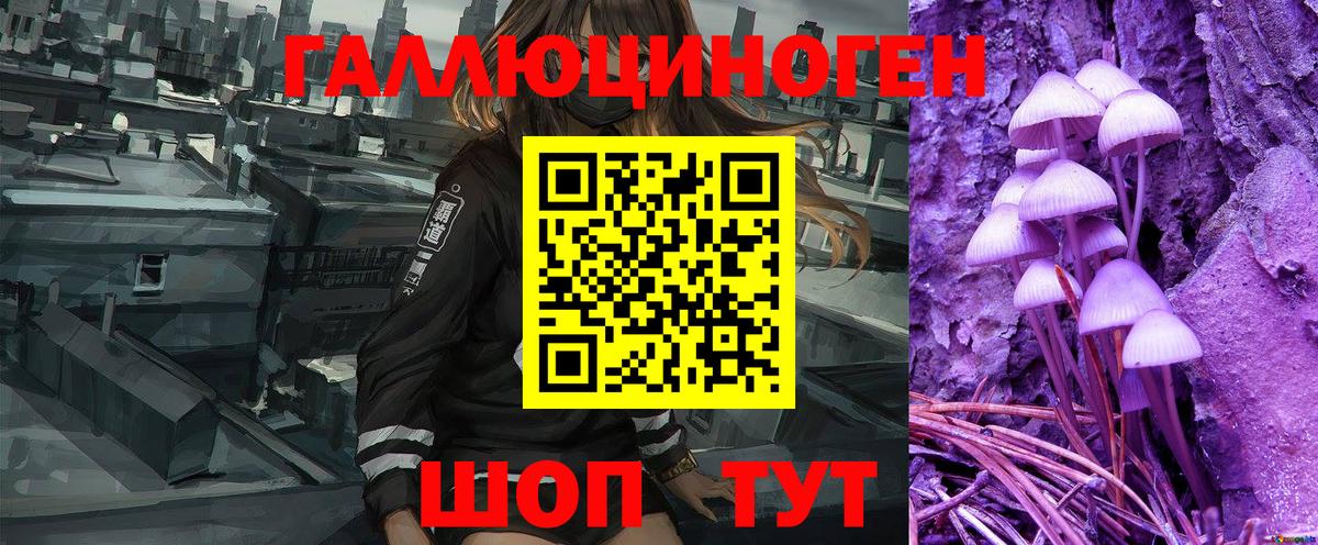 Псилоцибиновые грибы MAGIC MUSHROOMS  Вход с VPN  Тара 