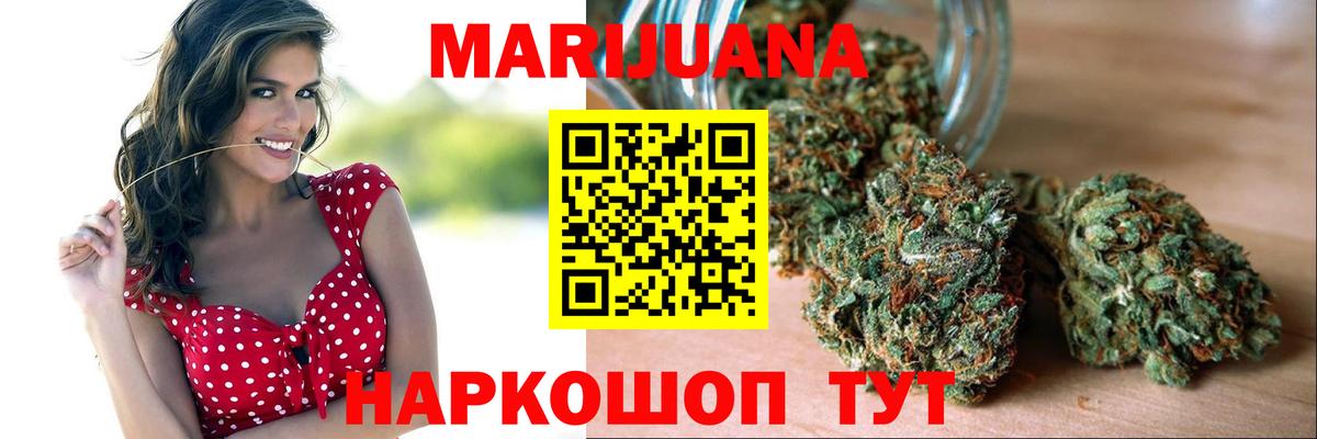 Бошки марихуана план  Конопля гибрид  Тара  Марихуана VHQ 